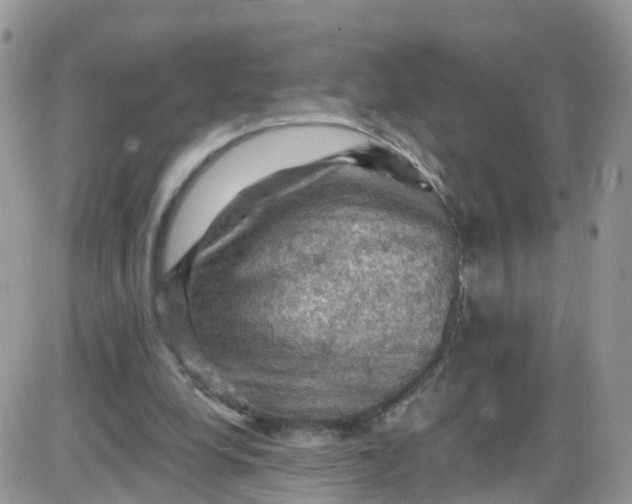 X0000085320248200703231956