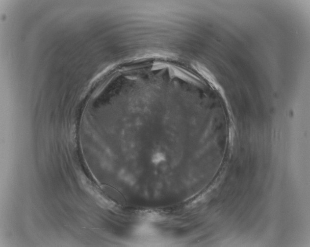 X0000085320249200703231956