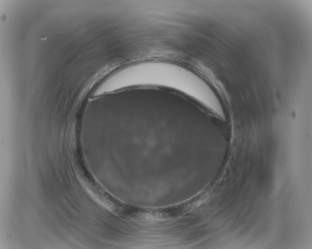 X0000085320250200703231957