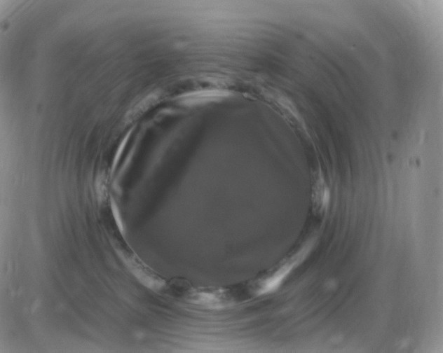 X0000085320285200703231957
