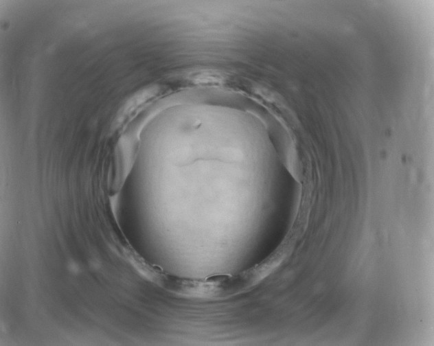 X0000085320288200703231957