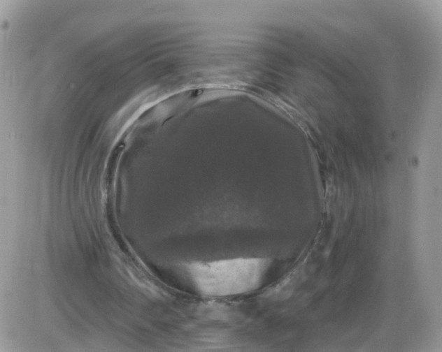 X0000085320290200703231956