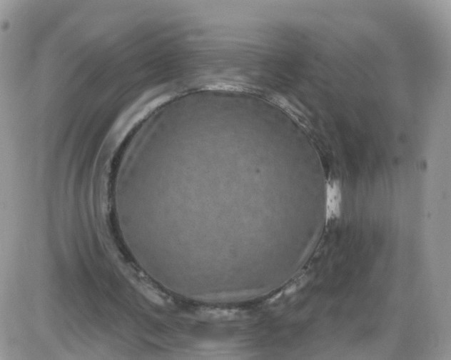 X0000085320291200703231956