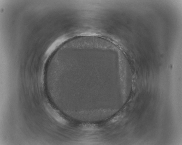 X0000085320296200703231956