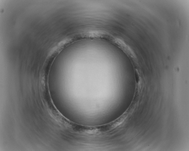 X0000085320306200703231956