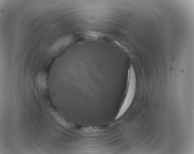 X0000085320331200703231956