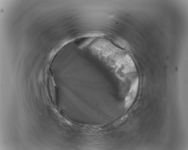X0000085320337200703231955