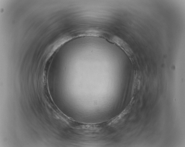 X0000085320338200703231955