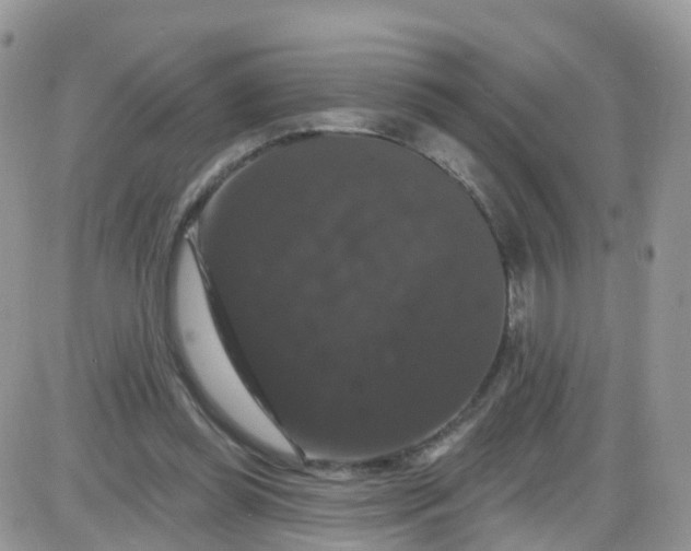X0000085320349200703231955