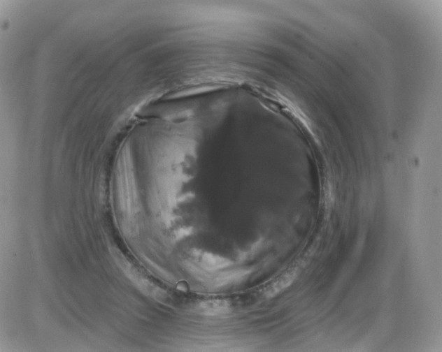 X0000085320353200703231955