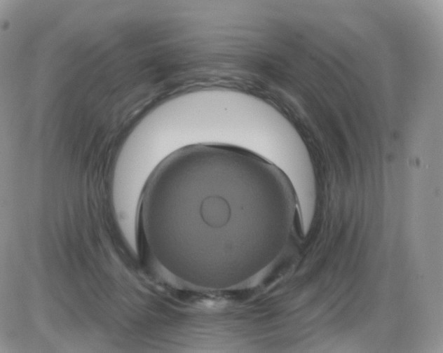 X0000085320364200703231955