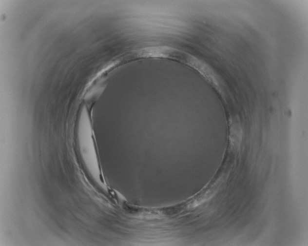 X0000085320386200703231955