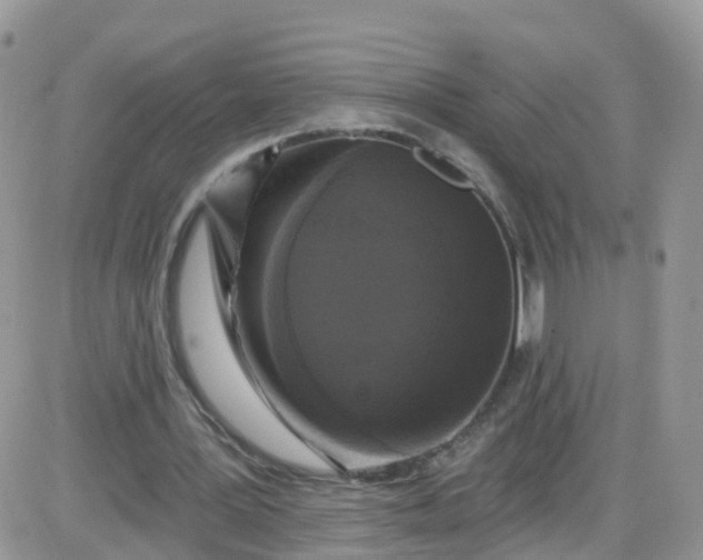 X0000085320387200703231955