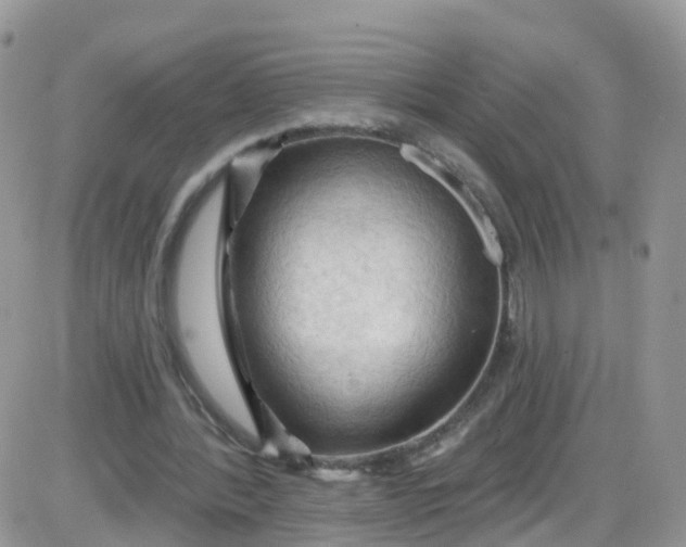 X0000085320388200703231955