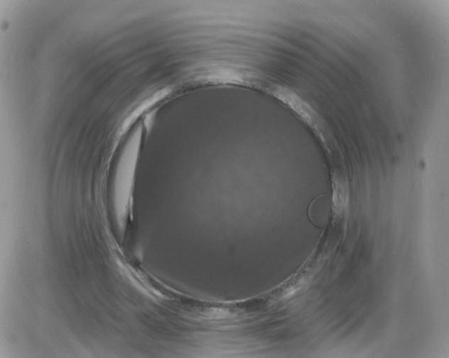 X0000085320390200703231955