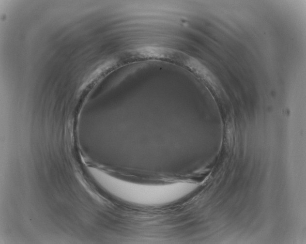 X0000085320398200703231955