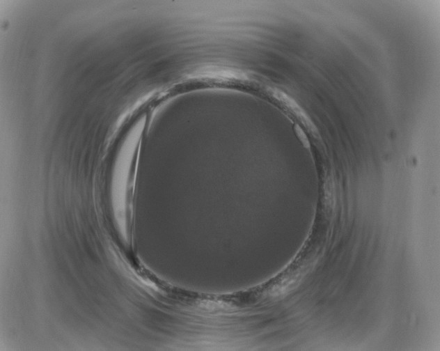 X0000085320399200703231955