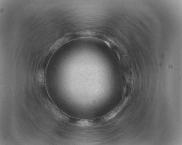 X0000085320425200703231954