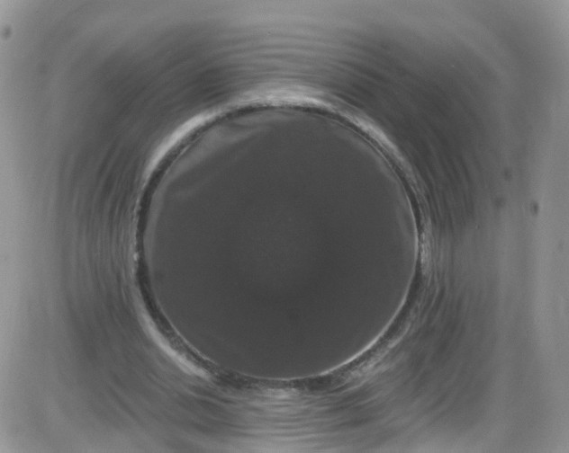 X0000085320438200703231953