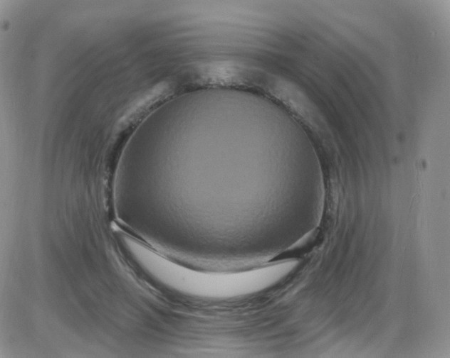 X0000085320450200703231953