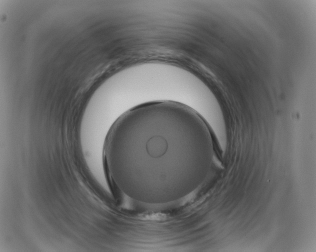 X0000085320452200703231953