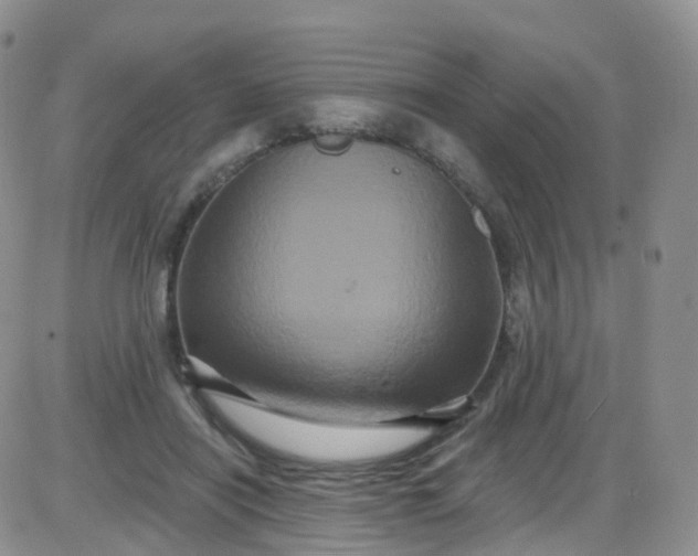 X0000085320454200703231954