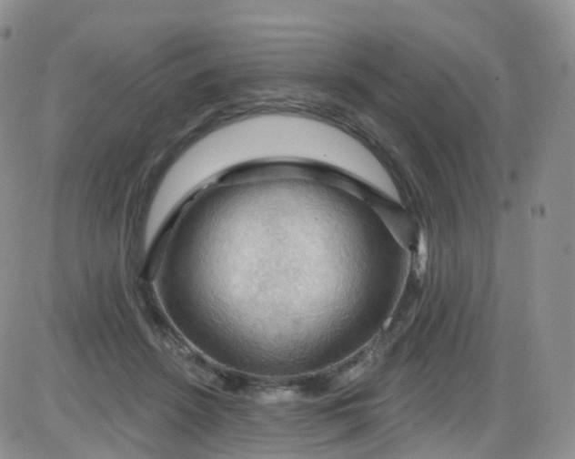 X0000085320456200703231954