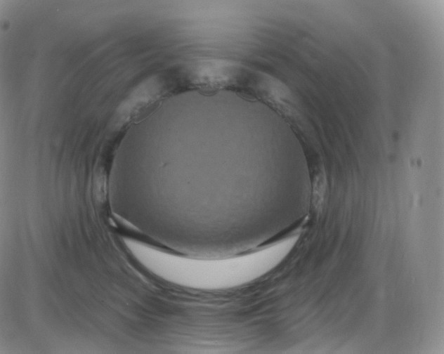 X0000085320474200703231954