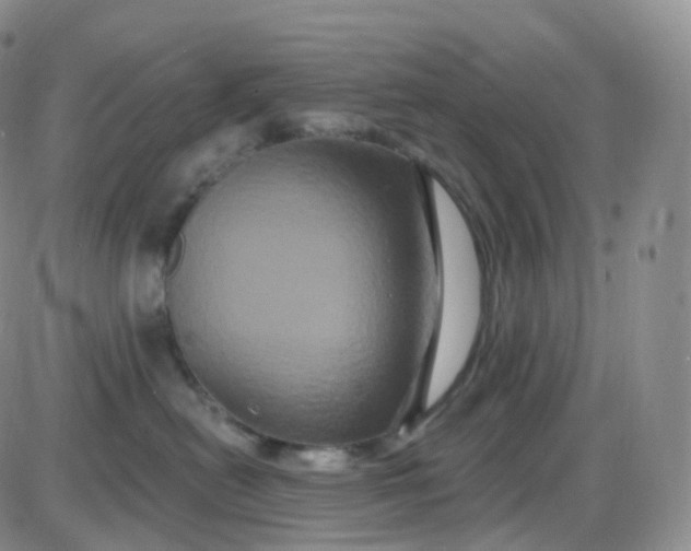 X0000085320478200703231954