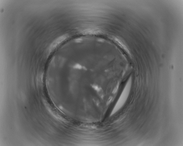 X0000085320491200703231953