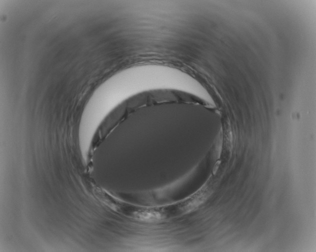 X0000085320512200703231953