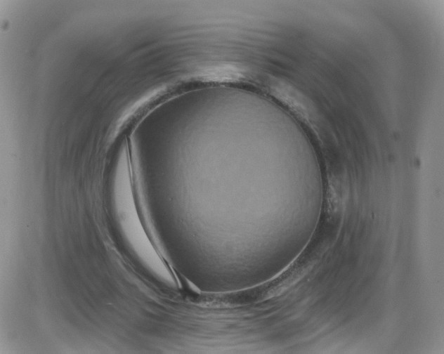 X0000085320535200703231952