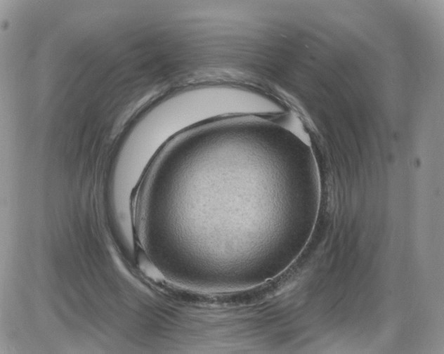 X0000085320538200703231952