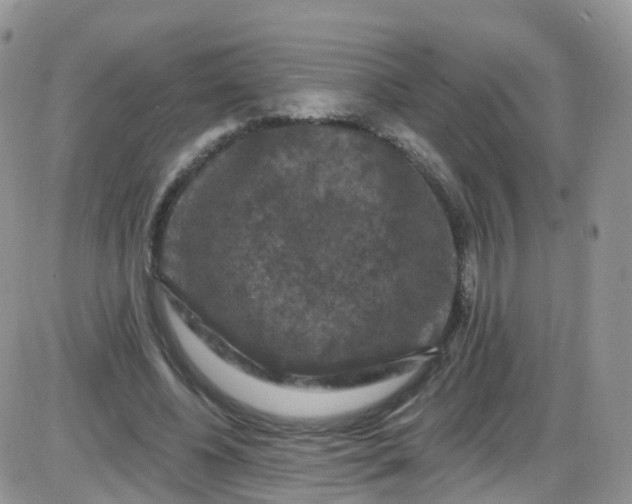 X0000085320540200703231952