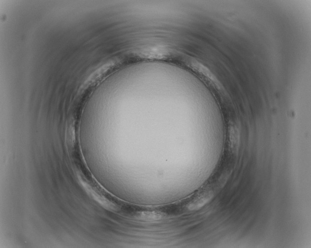 X0000085320541200703231952