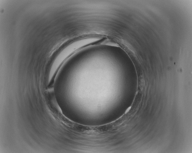 X0000085320544200703231952