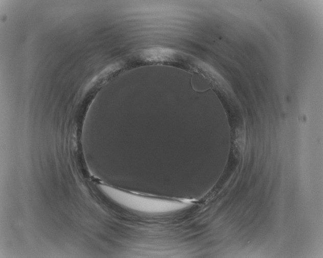 X0000085320547200703231952
