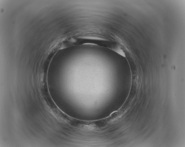 X0000085320548200703231952