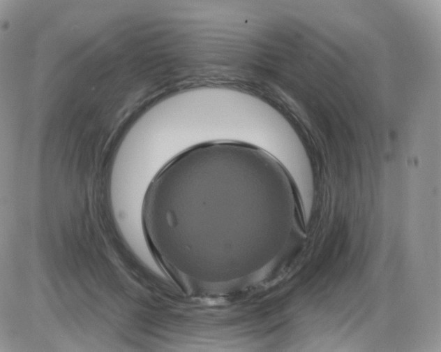 X0000085320552200703231952