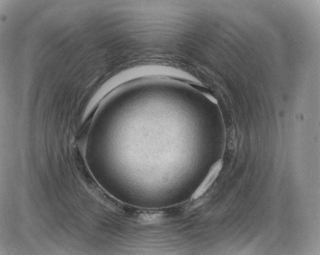 X0000085320560200703231952