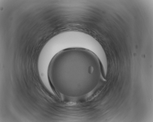 X0000085320562200703231952