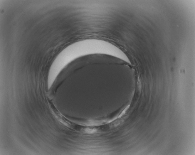 X0000085320570200703231952