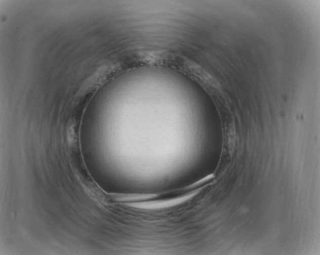 X0000085320611200703231951