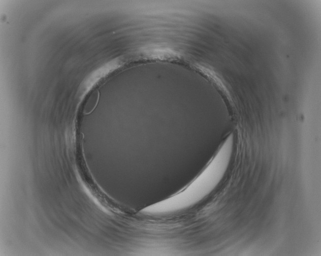 X0000085320630200703231950
