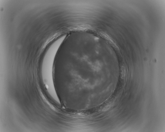 X0000085320634200703231950