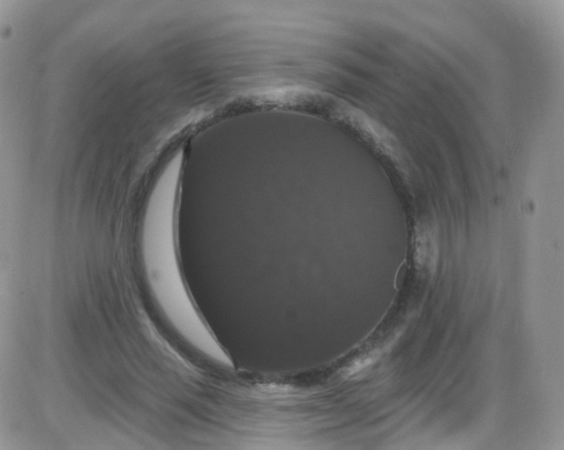 X0000085320637200703231950