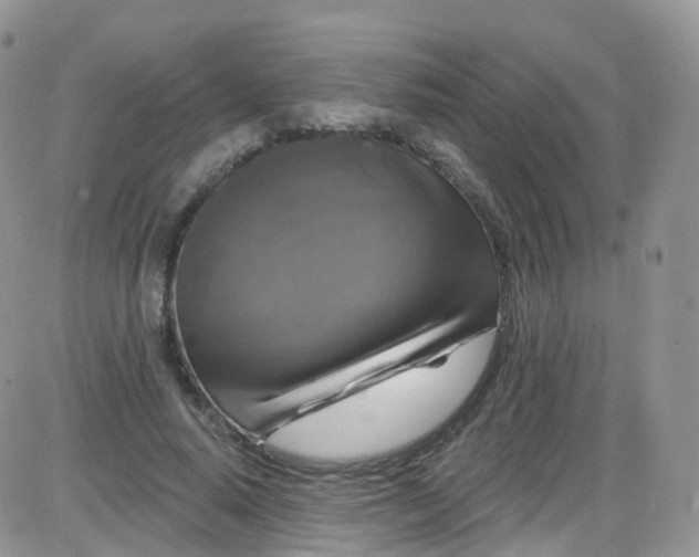 X0000085320640200703231950