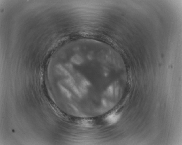 X0000085320664200703231951