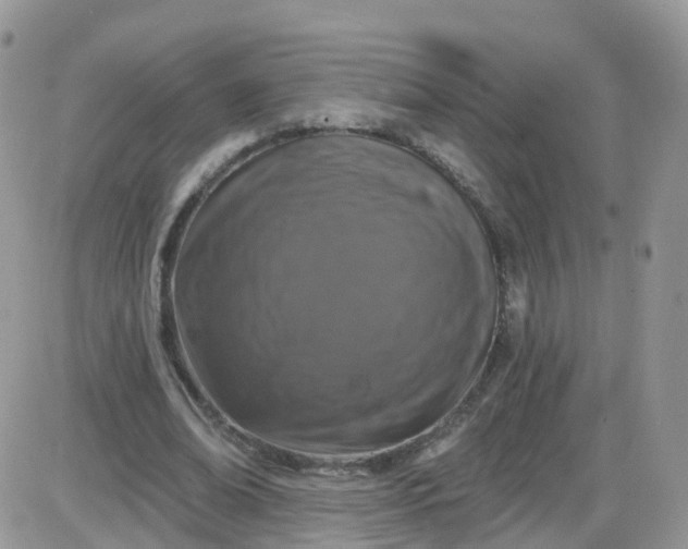 X0000085320678200703231950
