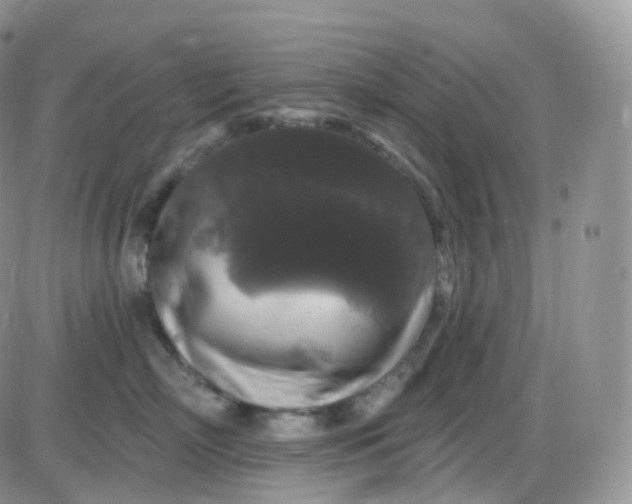 X0000085320718200703231949